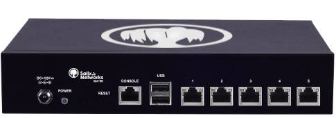 lion-50-170-a Firewalls para Oficinas y Sucursales